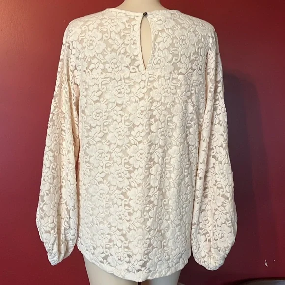 BNWOT Maurices classy off white lined floral top - Picture 8 of 15
